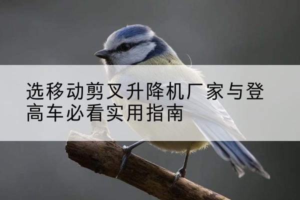 嘉陵电动升降机厂家-选移动剪叉升降机厂家与登高车必看实用指南
