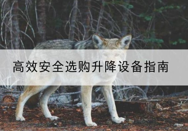 嘉陵升降货梯厂家推荐-*安全选购升降设备指南