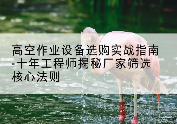 嘉陵剪叉式升降机厂家-高空作业设备选购实战指南-十年工程师揭秘厂家筛选核心法则
